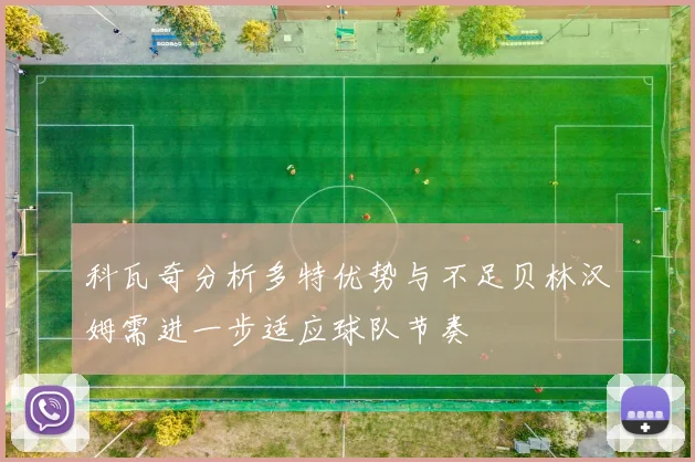 科瓦奇分析多特优势与不足贝林汉姆需进一步适应球队节奏